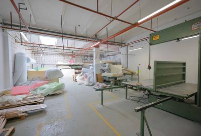 De vânzare spațiu industrial PGS Sofa, calea Borșului - 36