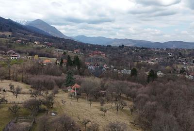 10.51 Euro + TVA / mp: Teren Bran Predelut, 24.253 mp, intravilan - 5