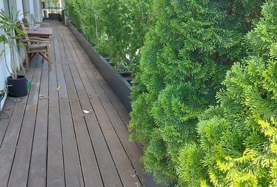 Penthouse 3 camere | terasa 80 mp | Domenii | Turda - 24