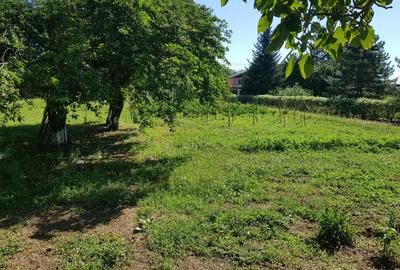 Petresti - Corbeanca 4648 mp intravilan desch. 33 m, utilitati, acces asfaltat - 14