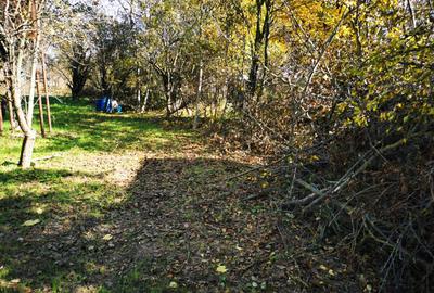 Teren Generos cu Casa in Gruiu - Snagov - 17