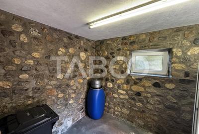 Casa  individuala de vanzare cu 950mp teren Saliste zona deosebita - 31