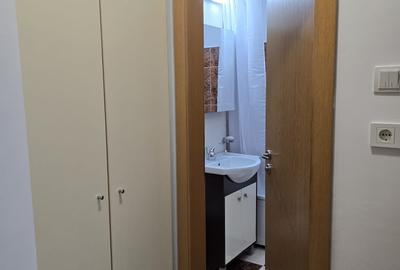 Faleza Nord- Azilul de Batrani , str.Unirii,  3 camere mobilat si utilat - 10