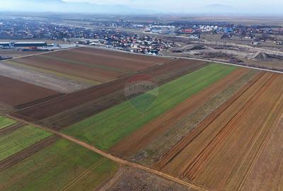 Teren extravilan | 14,600mp | Tărlungeni - 7