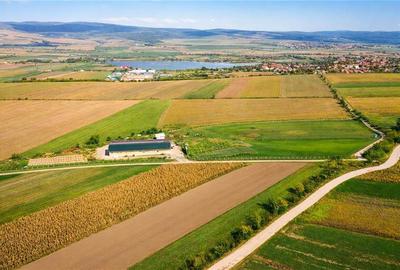 Teren agricol extravilan de 18000 mp, în Rotbav