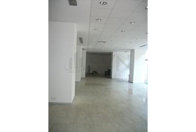 REC0001741 Spatiu Comercial Piata Victoriei - Titulescu - 10
