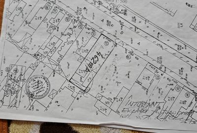 Teren Bucurestii Noi - 3