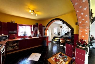 Casa  individuala de vanzare cu 950mp teren Saliste zona deosebita - 4