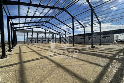 Hala noua cu rampa tir, 540 mpu, Giarmata - 7