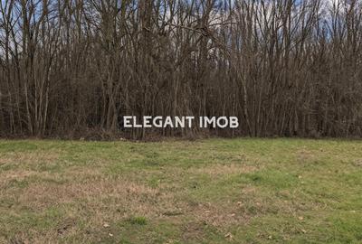 Teren intravilan de 758 mp, în Corbeanca