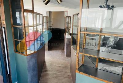Spatiu Comercial sau Birouri 165 mp, zona Platinia - 3
