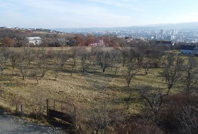 Teren 20.146 mp Dâmbu Rotund (Lomb).Extravilan.Potențial rezidențial - 1
