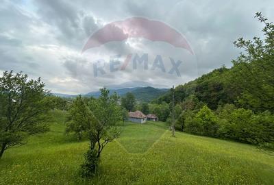 Teren 2,000mp Copalnic-Manastur / Strada Principala - 8
