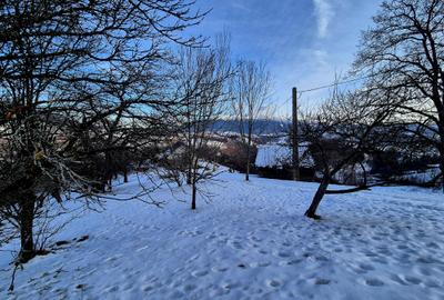 Teren intravilan Simon/Bran, 4318 mp , casuta intabulata, utilitati - 13