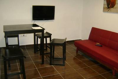 Apartament o camera la vila LUX 370 euro - 12