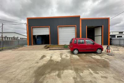 Hale Tomesti bariera, 315mp, 593mp - 11