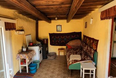 Casa de vanzare in Armeni - 3