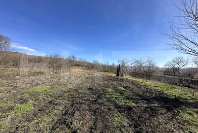 Casa la tara, 4000 mp teren, utilitati, acces A10, sat Dumbrava - 6