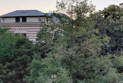 Unirii 3 camere spațioase etaj 4 Spaiul Unirii 12 renovat intregral - 17