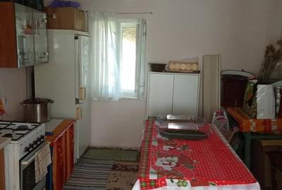 Casa Bihor Comuna Magesti Sat Josani la doar 50 de kilometri de Oradea - 17