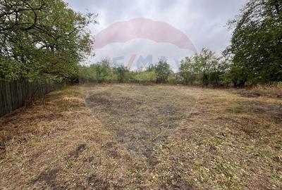 Teren intravilan 1700 mp, de vanzare, A2,  Sarulesti, Polcesti - 7