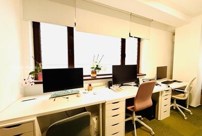 Birouri private, spatii creative in vila de lux, zona ultracentrala | Dorobanti - 25