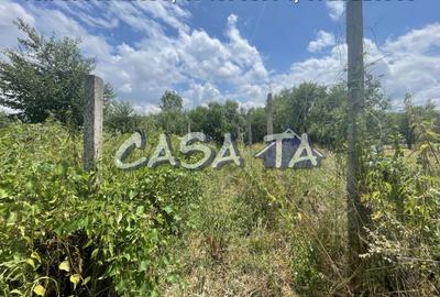 Casa 3 Camere + Teren aferent (5385mp) si Anexe, Balcesti - 8