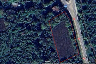 Teren intravilan pentru afacere/constructii, Merisani stradal la DN 7C - 4