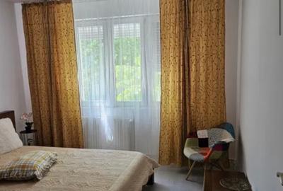 2 camere Gorjului - Apusului *centrala proprie* - 6