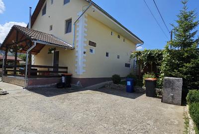 CASA VACANTA-zona pitoreasca minunata - 17