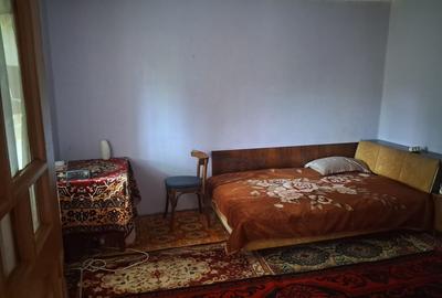 Casă tradițională cu teren generos – Borosteni, Peștișani, jud. Gorj - 7