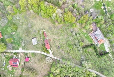 Teren intravilan Bran- Predelut - 25