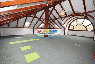 Vila 14 camere D+P+E1+M Arcul de Triumf Herastrau Kiseleff Casin - 9