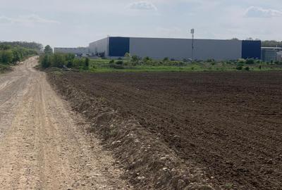 Sos de Centura Pantelimon Vanzare Teren 3,5 HA si 1, 1 HA - Cernica  25400MP - 6