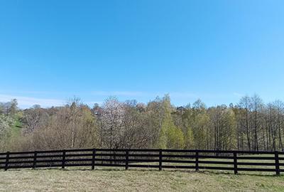 Teren intravilan cu priveliste frumoasa-Predelut - 4