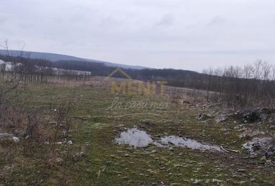 Teren Construcții intravilan de 7500 mp, în Băicoi