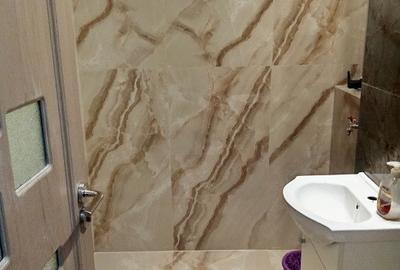 Apartament 1 camera, (30 mp+ un beci de 18 mp) Str Rogerius, Str. Sovata - 3