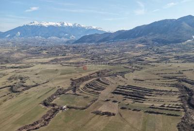 Teren intravilan Bran - Predelut - 41