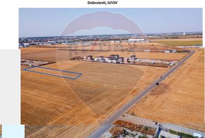 Teren Construcții intravilan de 5000 mp, în Dobroești