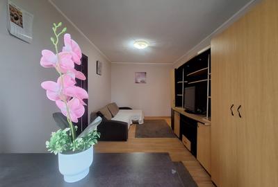 Investitie ideala! Apartament cu 2 camere-mobilat si utilat-zona Dacia! - 2