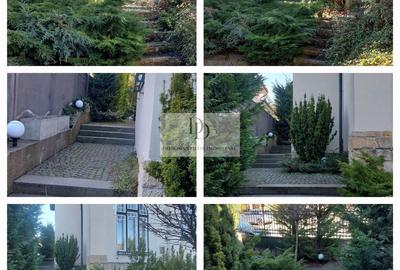 Spațiu de birouri premium în vilă | Curte amenajată | Andrei Mureșanu - 14