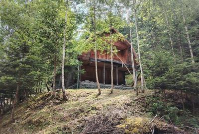 Casa de vacanta nefinalizata (Gheorgheni, zona Magasbukk, km 5) - 7