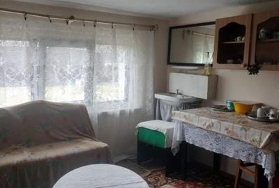 Vanzare Teren intravilan 4971 mp și Casă renovată complet exterior în 2024 - 15