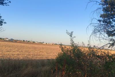 Teren Intravilan Cornetu - 1