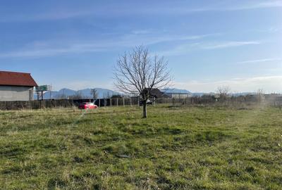 Teren intravilan de vanzare - Harman - 1000 mp - 1