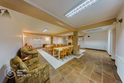 Proprietate pretabila pentru afacere, Cladova - 21