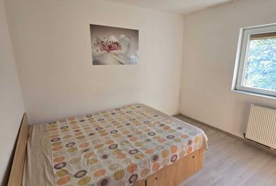 2 camere, între Gorjului și Păcii, pet friendly, decomandat, strada Lavandei - 9