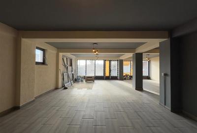 Spatiu comercial Visan - zona Profi, 176mp - 21