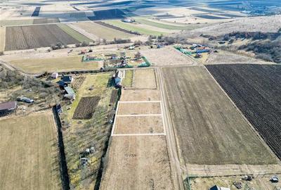 FILM! Liniste si aer curat in proximitatea Municipiului Sfantu Gheorghe - 6