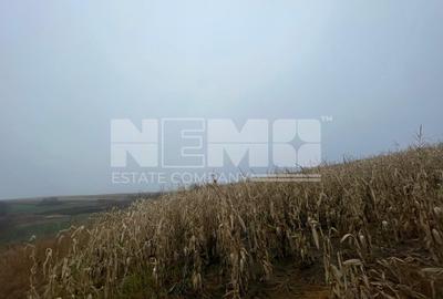TEREN EXTRAVILAN | DOUA PARCELE 2.84 HA| DARMANESTI - 14